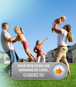 Saisie en ligne
