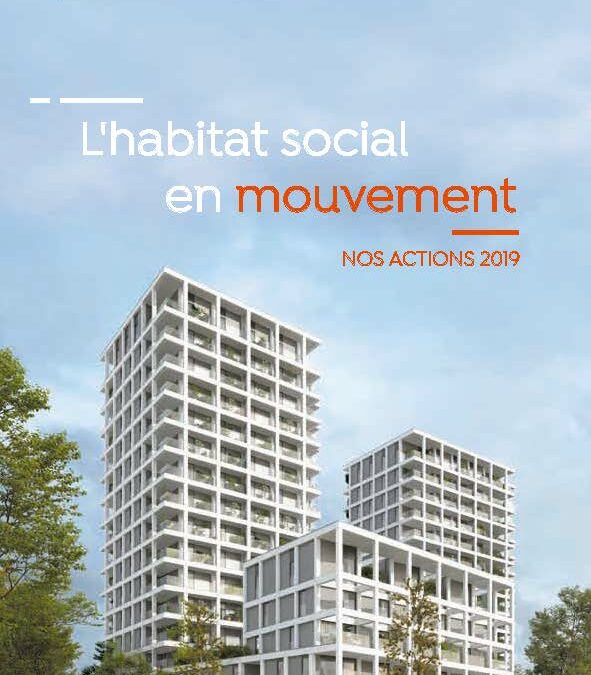Rapport d’activité 2019